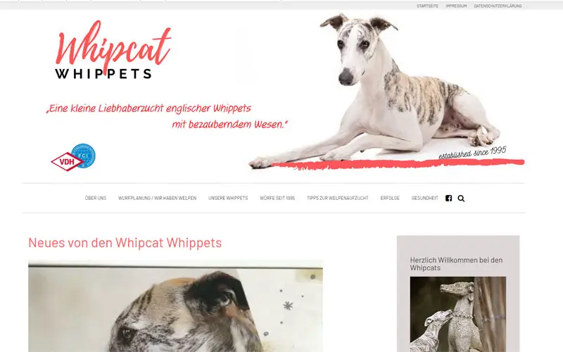 Whipcat Whippets